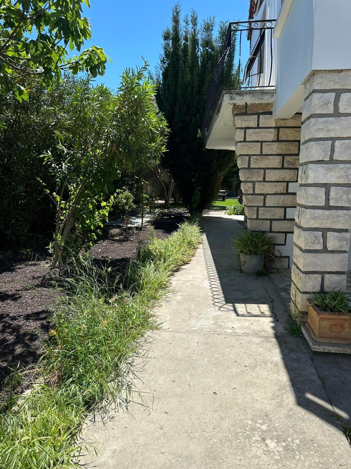 Appartement L'Olivier Arles Dış mekan fotoğraf